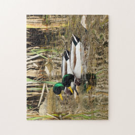 Stockente duckt Puzzlespiel