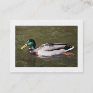 Stockente (gerändert) visitenkarte