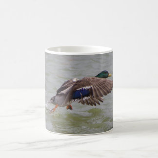 Stockente im Flug Kaffeetasse
