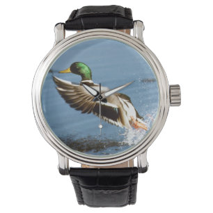 Stockenten-Drake-Ente Armbanduhr