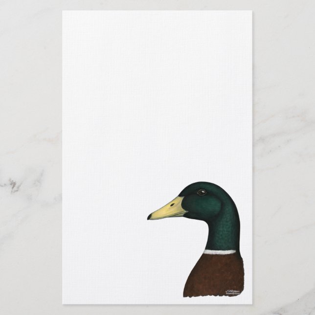 Stockenten-Drake-Kopf Briefpapier (Vorderseite)