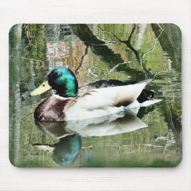 Stockenten-Drake-Reflexionen Mousepad- Mousepad (Vorne)
