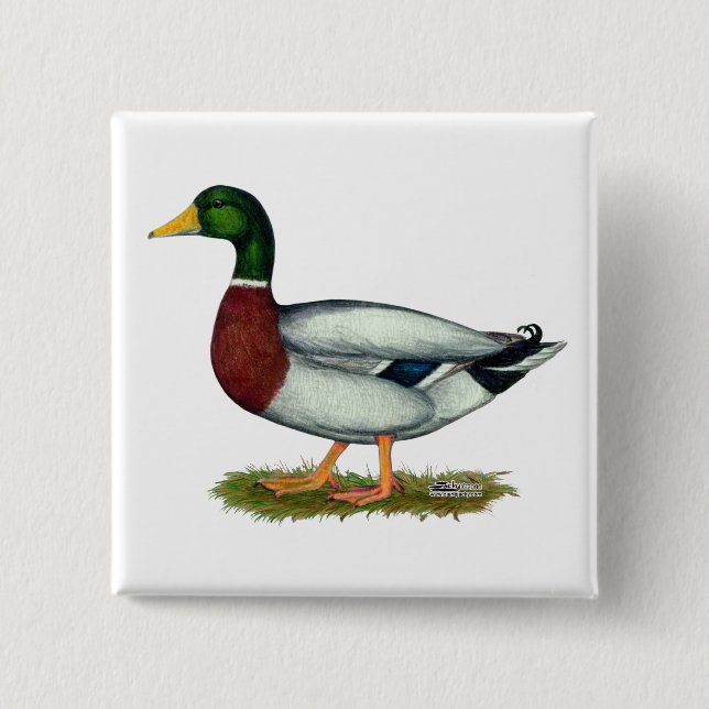 Stockenten-Ente Drake Button (Vorderseite)
