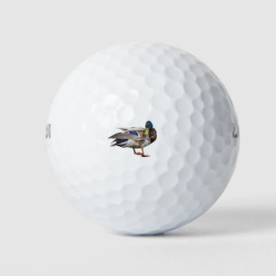 Stockenten-Ente Golfball