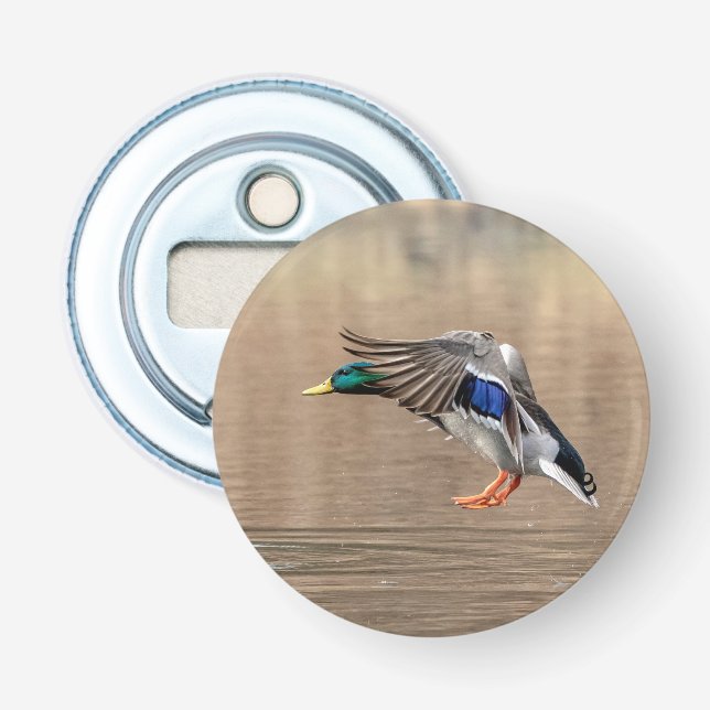 Stockenten-Ente im Flug Flaschenöffner (Vorderseite)