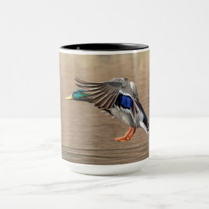 Stockenten-Ente im Flug Tasse