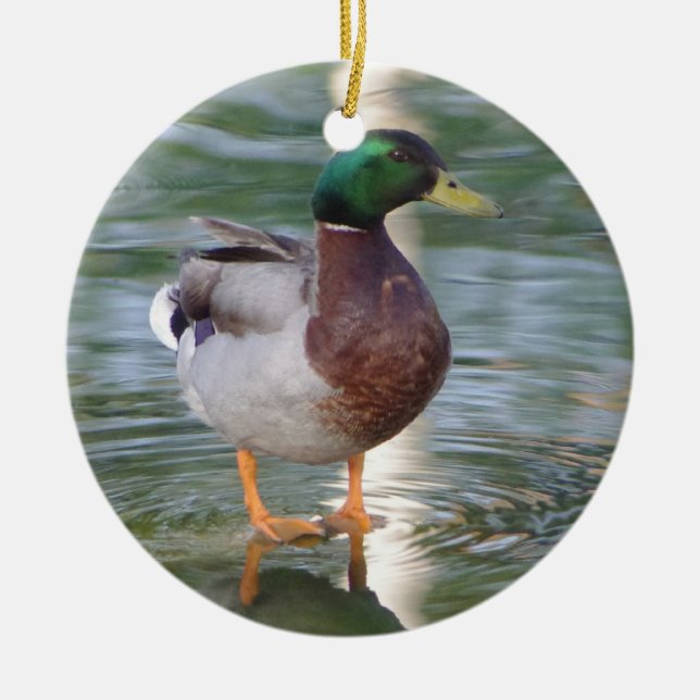 Stockenten-Ente Keramikornament (Vorne)