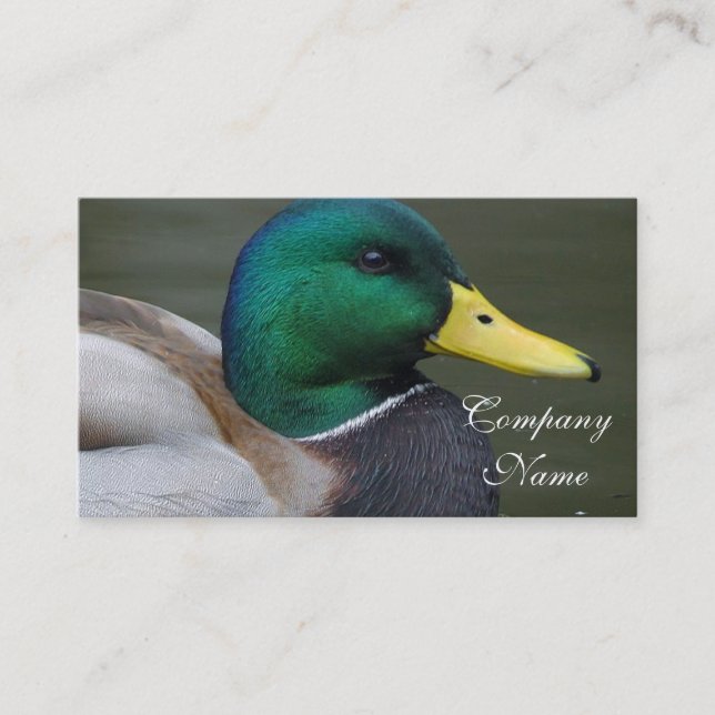 Stockenten-Ente Visitenkarte (Vorderseite)