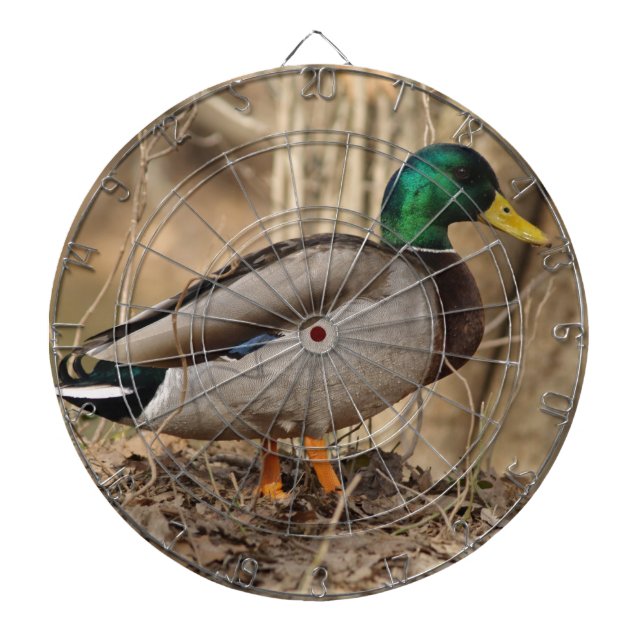 Stockenten-Enten-DartscheibeSpecial Dartscheibe (vorne)