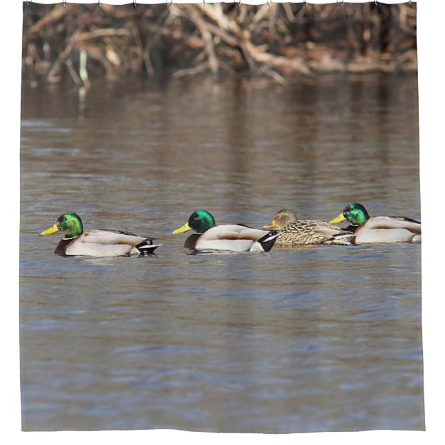 Stockenten-Enten Duschvorhang (Vorderseite)