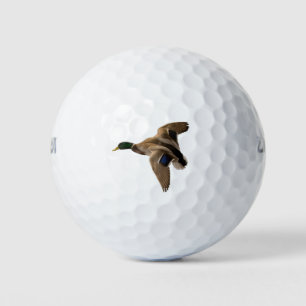Stockenten-Enten-Fliegen-Natur-Vogel Greenhead Golfball