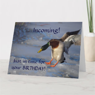 Stockenten-Enten-Geburtstags-Gruß-Karte Karte