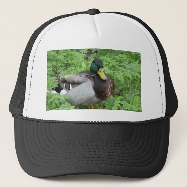 Stockenten-Enten-Hut Truckerkappe (Vorderseite)