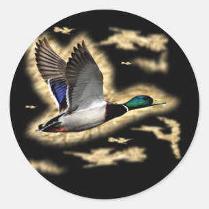 Stockenten-Enten-Jagd Runder Aufkleber