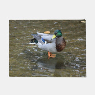 Stockenten-Enten-Pose-Fußmatte Fußmatte