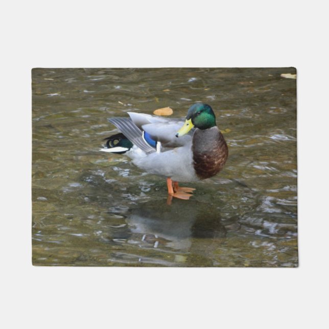 Stockenten-Enten-Pose-Fußmatte Fußmatte (Vorderseite)