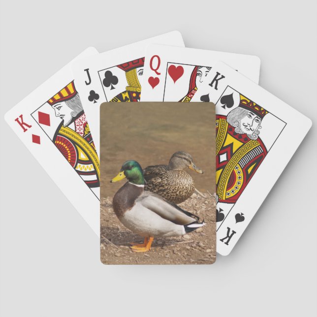 Stockenten-Enten-Spielkarten Spielkarten (Rückseite)
