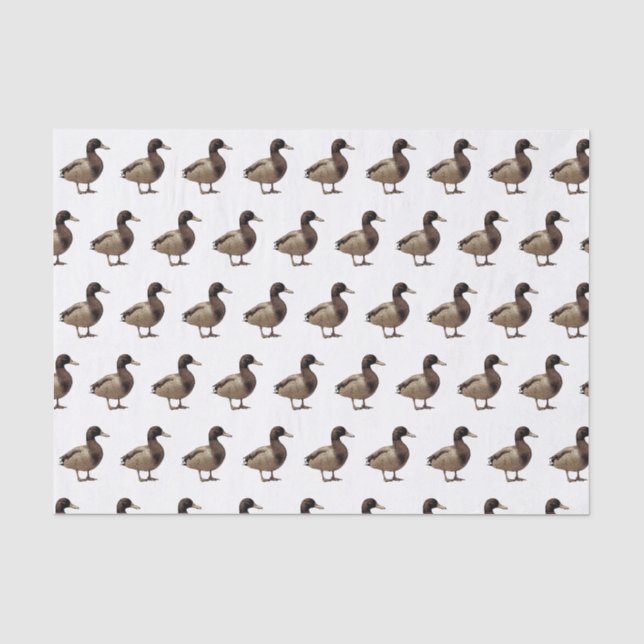 Stockenten-Entesepia-Ton-Seidenpapier Seidenpapier (Vorderseite)