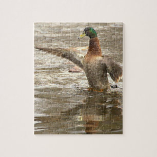 Stockenten-Foto-Puzzle