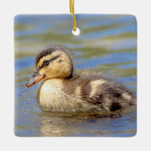 Stockenten-Küken Keramikornament