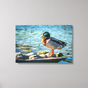 Stockenten-Leinwanddruck Seevogel-Kunst Leinwanddruck