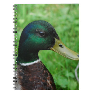 Stockenten-Notizbuch Notizblock