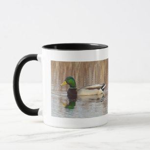 Stockenten-Tasse Tasse