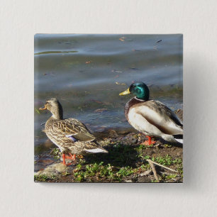 Stockentenenten-Paarknopf Button