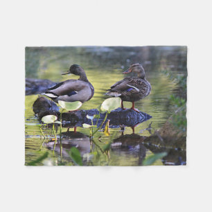 Stockentenentenpaare Fleecedecke