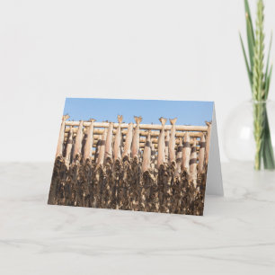 Stockfish Lofoten Karte