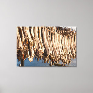 Stockfish Lofoten Leinwanddruck