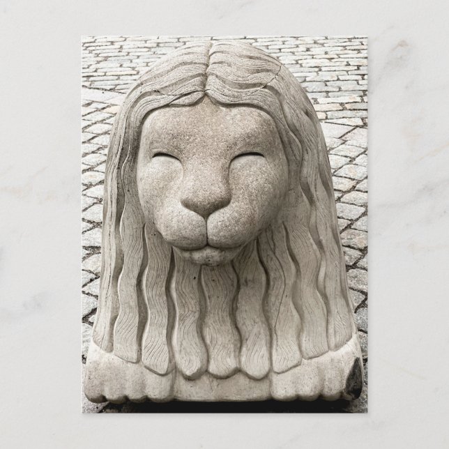 Stockholm Schweden Stone Lion Statue Old Town Foto Postkarte (Vorderseite)