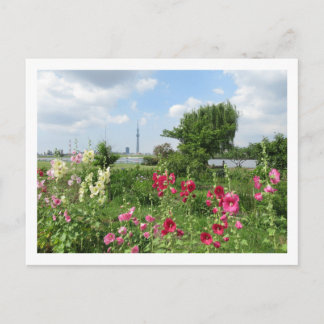 Stockrosen: Arakawa-Fluss, Tokio Postkarte
