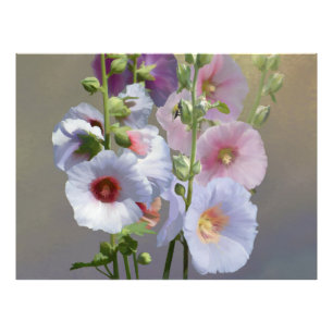 Stockrosengruppe Fotodruck