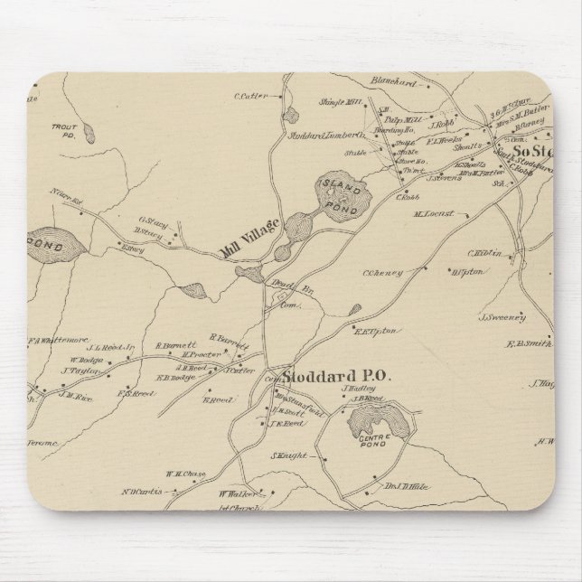 Stoddard, Cheshire Co Mousepad (Vorne)