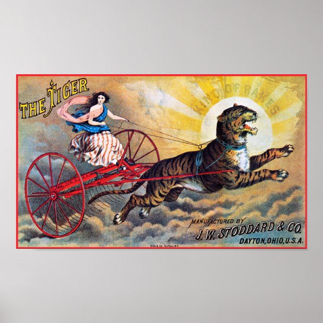 Stoddard Tiger Poster (Vorne)