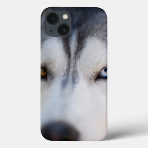 Stoiber Blick auf Alaskan Malamute Case-Mate iPhone Hülle
