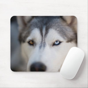 Stoiber Blick auf Alaskan Malamute Mousepad