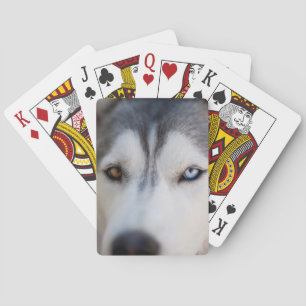 Stoiber Blick auf Alaskan Malamute Spielkarten