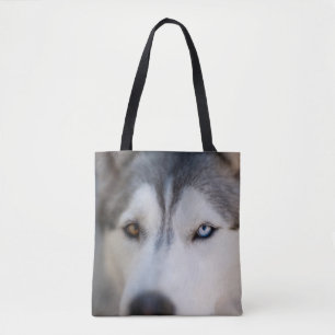 Stoiber Blick auf Alaskan Malamute Tasche