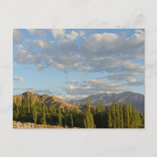 Stok range, Ladakh, Indien Postkarte (Vorderseite)