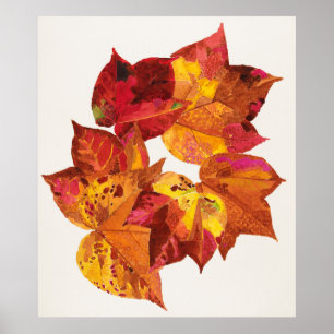 Stolk's Carpente Poster