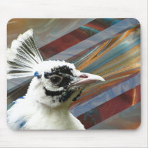 Stolz als Pfauenmousepad
