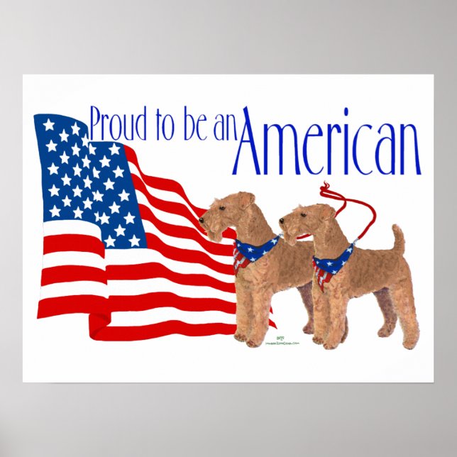 Stolz, Amerikaner zu sein Poster (Vorne)