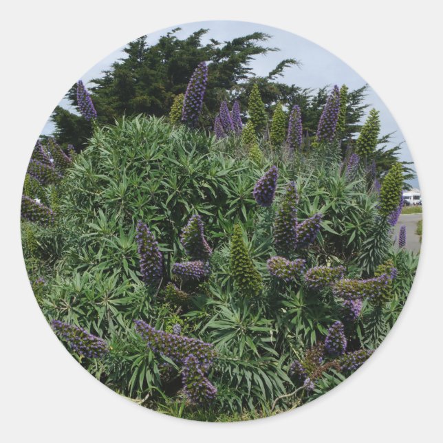 Stolz auf Madeira #1 Stickers (Vorderseite)