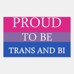 Stolz auf Trans und Bi Rechteckiger Aufkleber