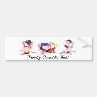 Stolz besessen durch Ratten! Autoaufkleber