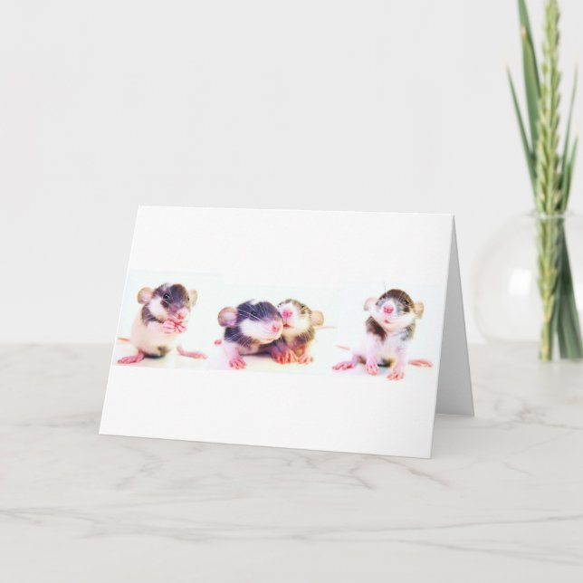 Stolz besessen durch Ratten! Karte (Vorderseite)