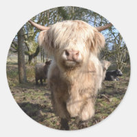 Stolz darauf, schottisch zu sein