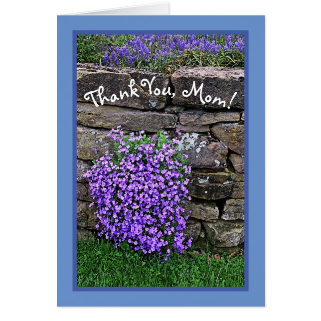 STOLZ DER MAMA/FLÜSSE ÜBER STEIN W (Vorne)